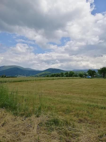 Chata U Losinky Velké Losiny Dış mekan fotoğraf